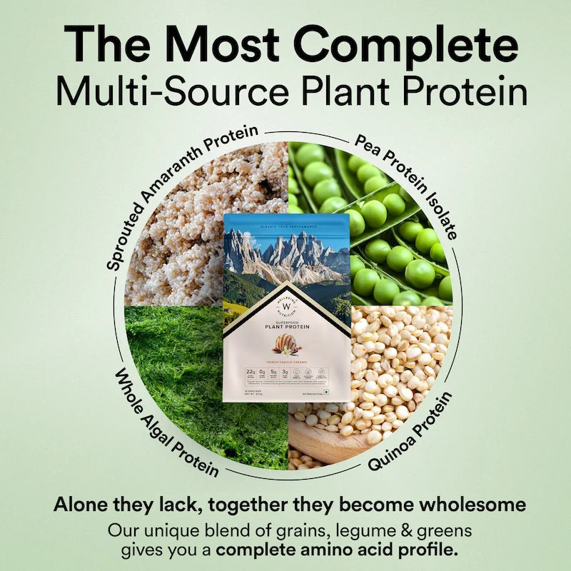 Vegan Protein Flavor Combo