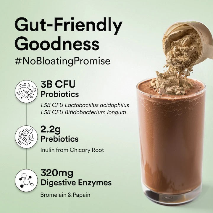 Vegan Protein - Belgian Dark Chocolate (907 Gms)