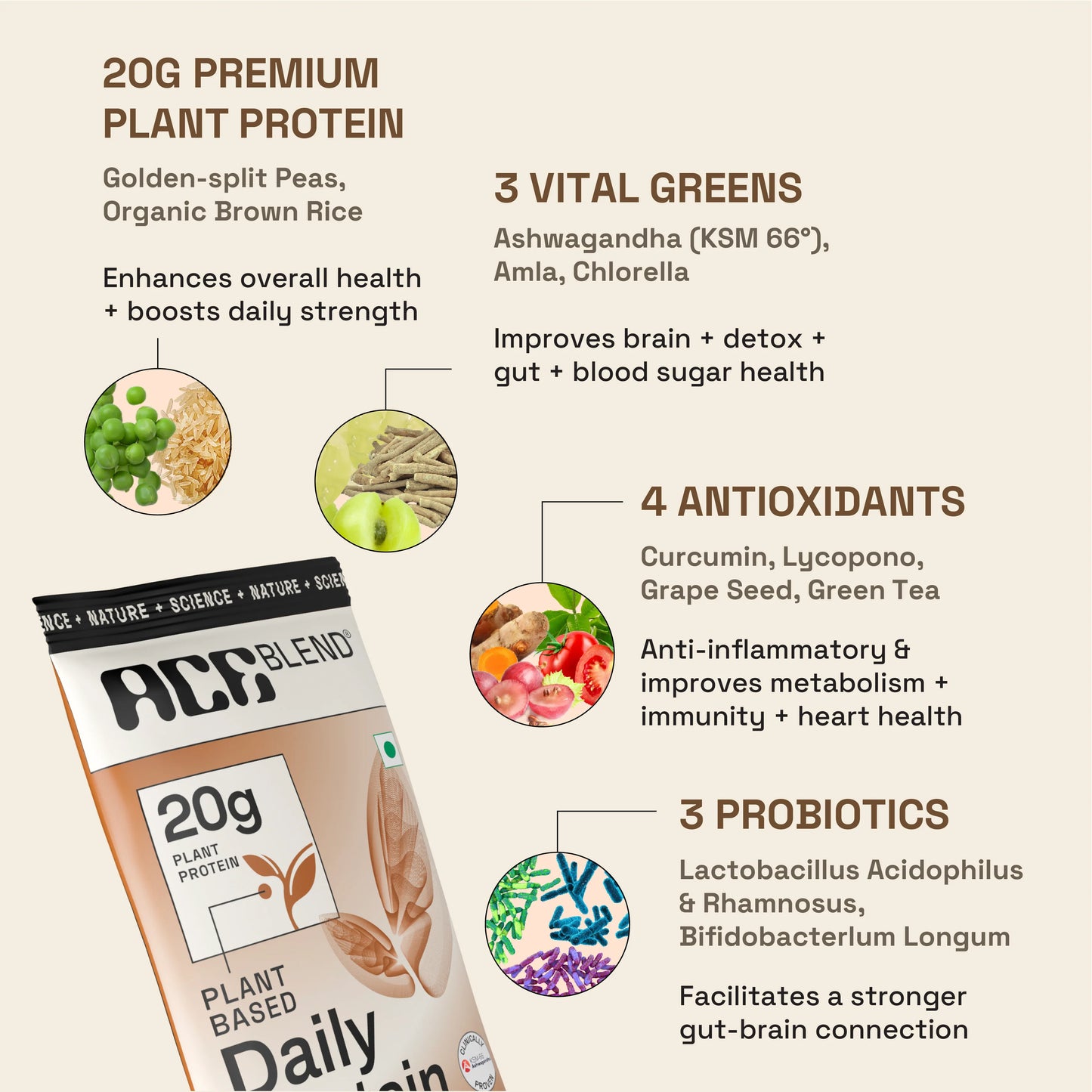 Premium Plant Protein | Daily