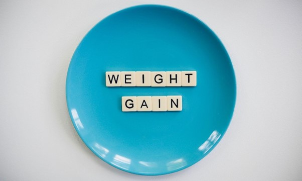 diet plans for weight gain